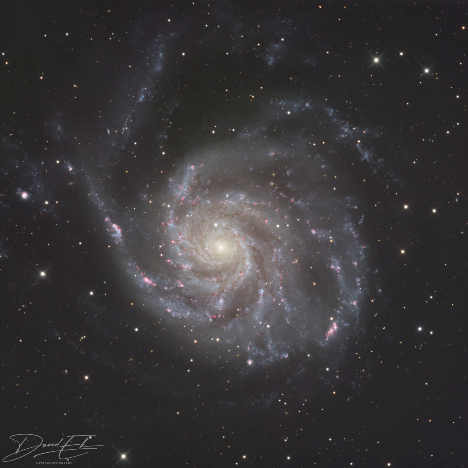 The Pinwheel Galaxy With My 6″ RC